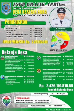 apbdes 2025